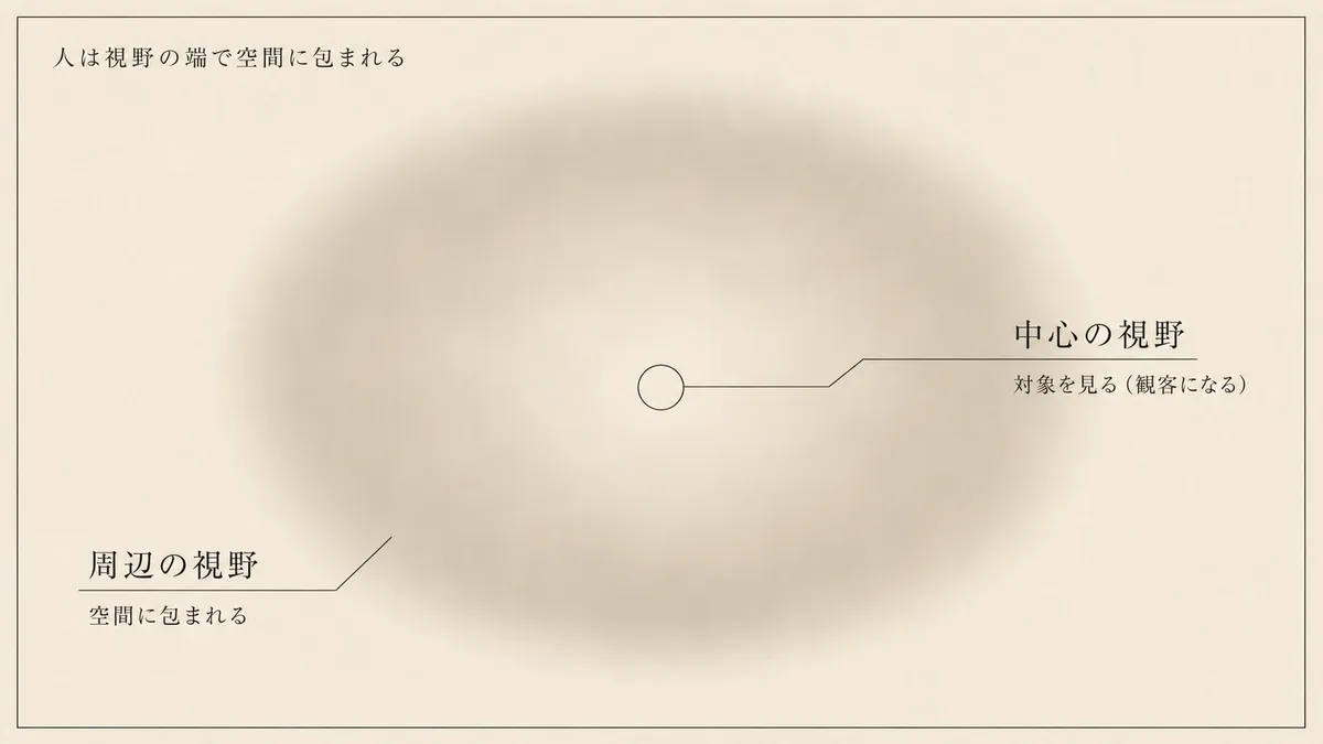 鋭い中心の視野と、ぼやけた周辺の視野を対比し、空間に包まれるのは周辺の視野だと示した図